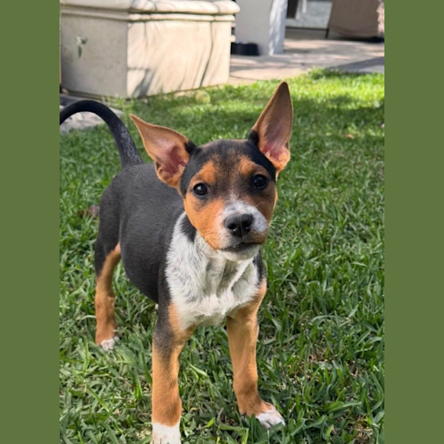 Photo of Asti