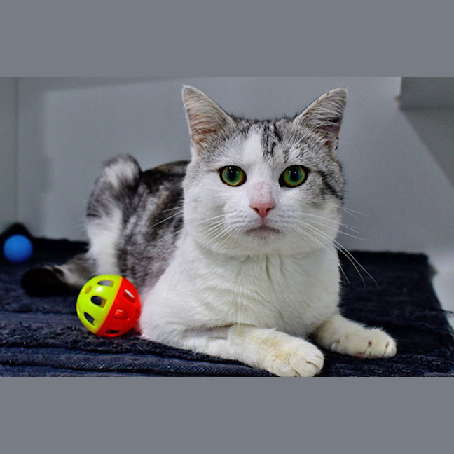 Photo of Jimmy Kibble