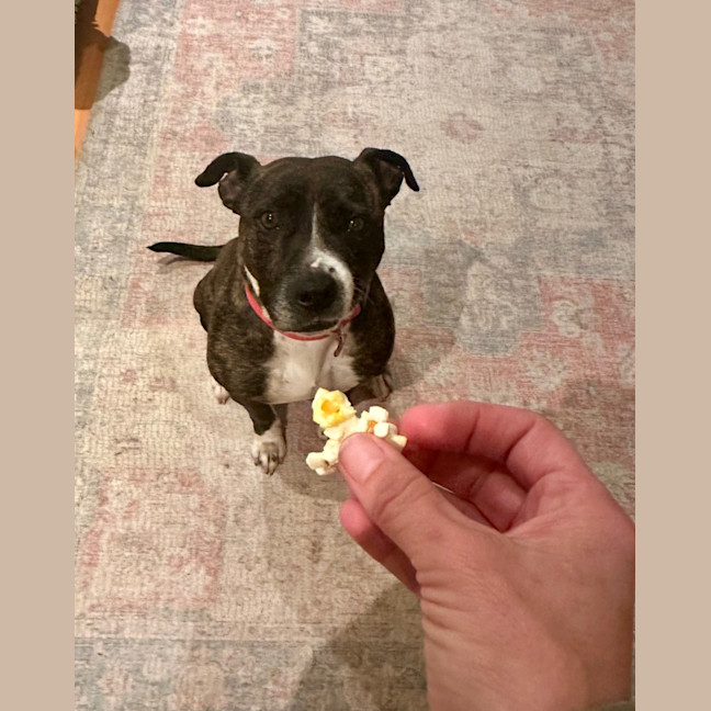 Photo of Popcorn