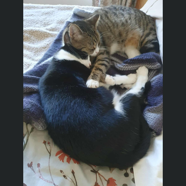 Photo of Miguel / Sarah