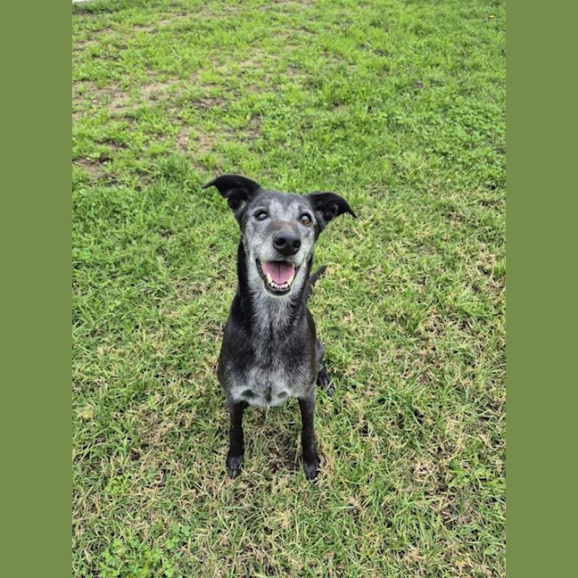 Photo of Precious