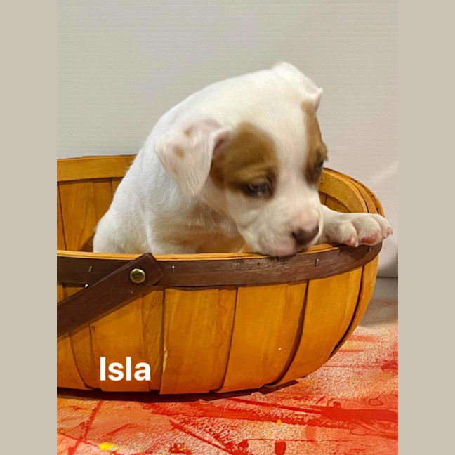 Photo of Isla