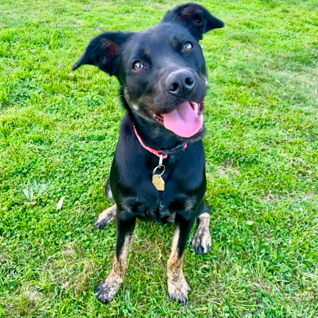 Photo of Daisy