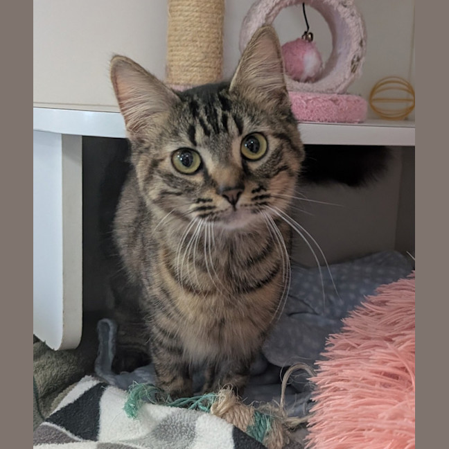 Photo of Evie