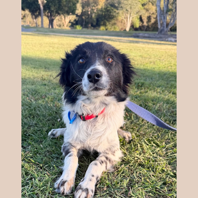 Photo of Maisie