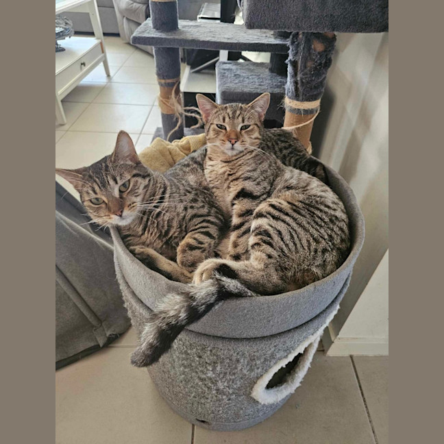 Photo of Mia And Frankie 