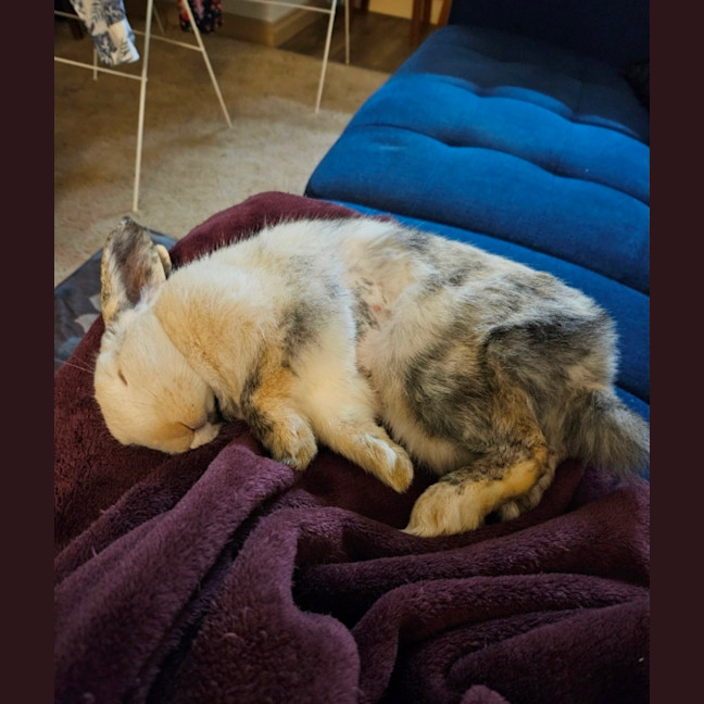 Photo of Dorothy