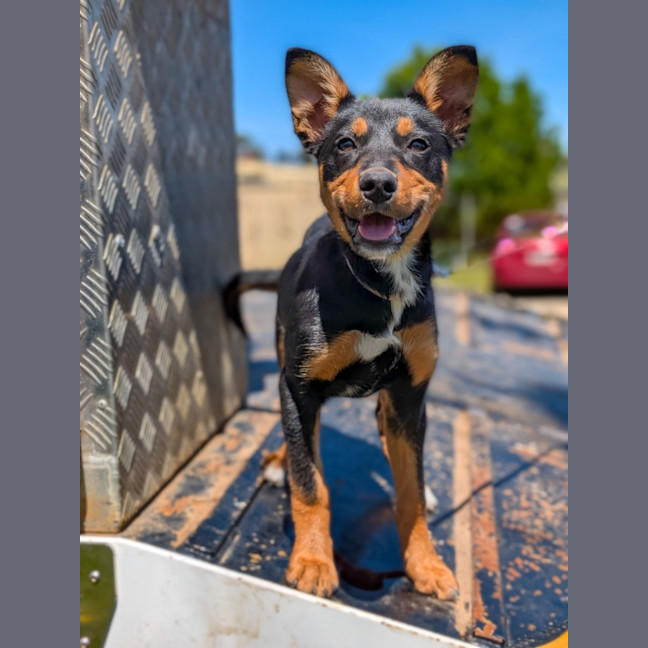 Photo of Huntrix