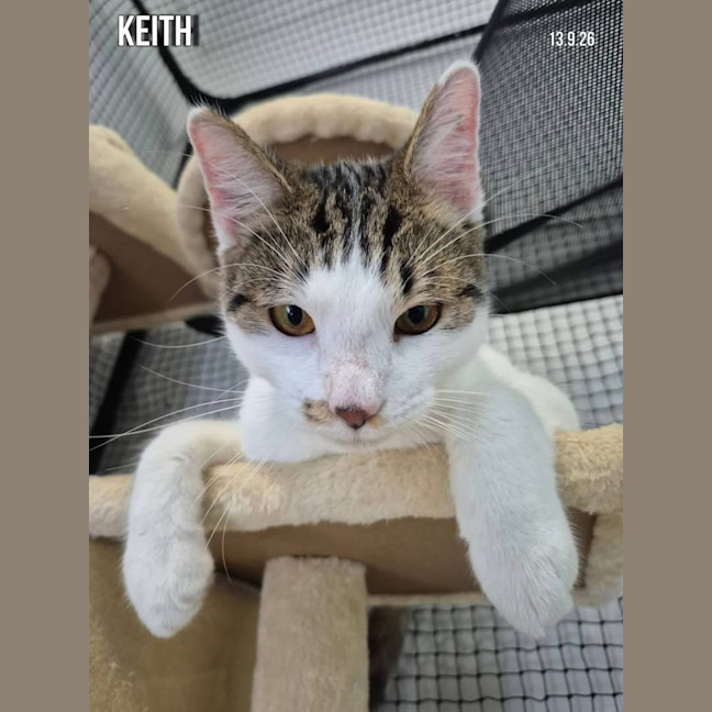 Photo of Keith