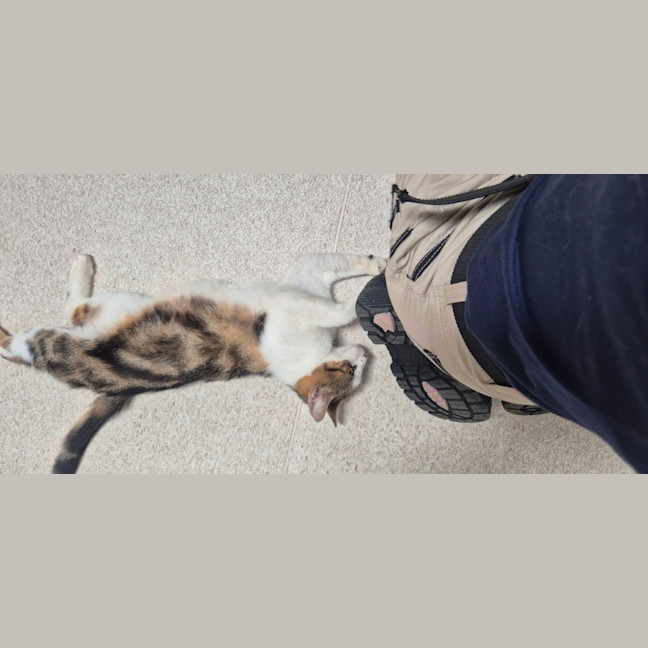 Photo of April (9172)