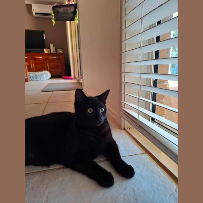 Photo of Terrence