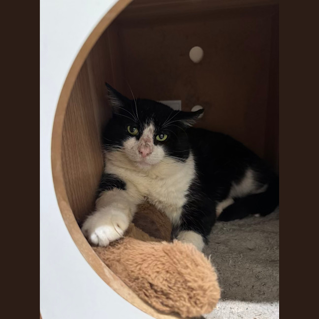 Photo of Bruce Wayne