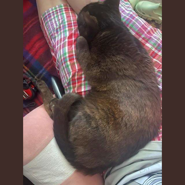 Photo of Midnight