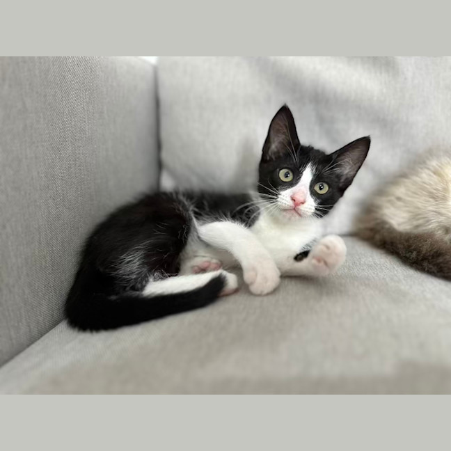 Photo of Madame Morrible