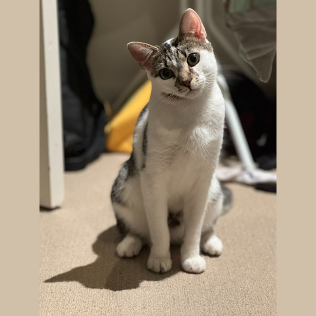 Photo of Nugget Scott