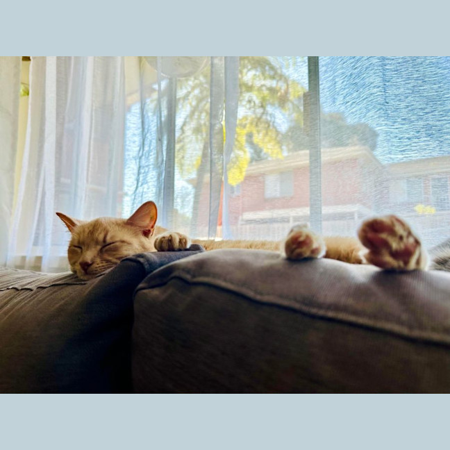 Photo of Abigail   Located In Fairfield