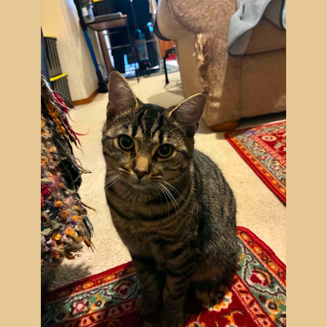 Photo of Essie