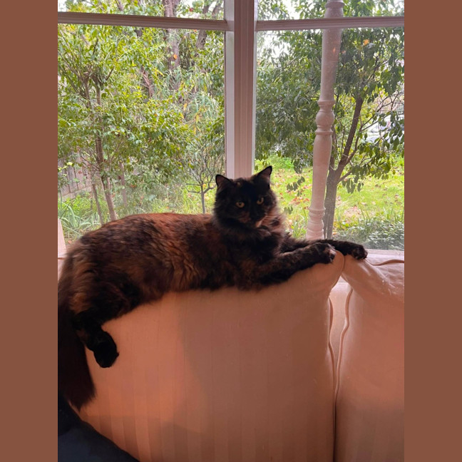 Photo of Phoebe