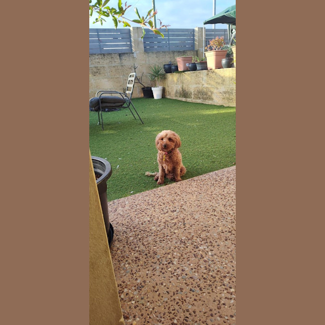 Photo of Maggie