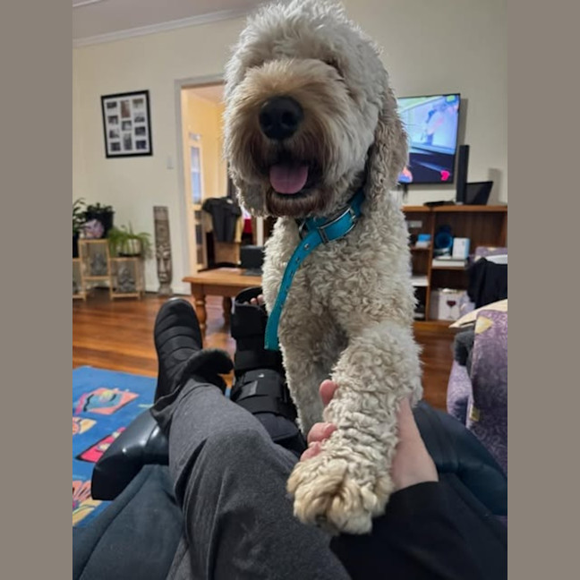 Photo of Charlie