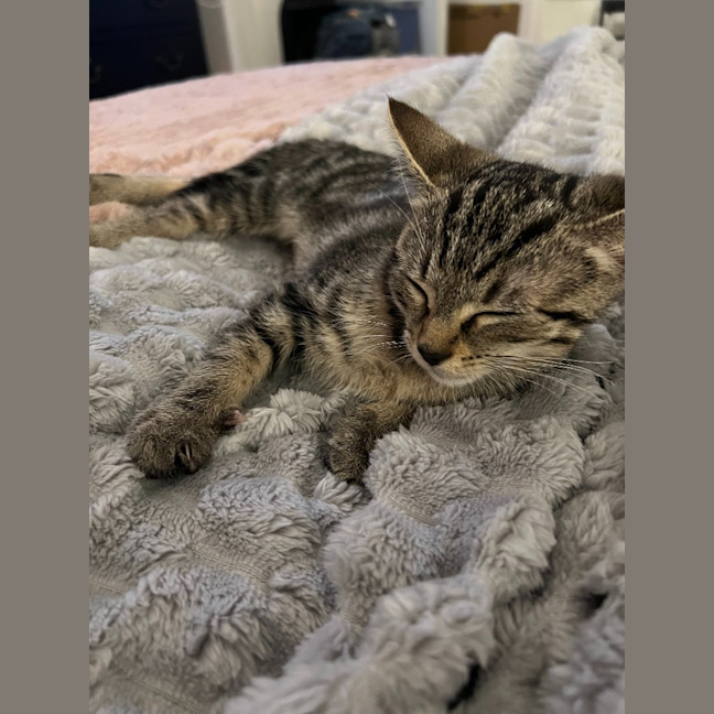 Photo of Boo Boo