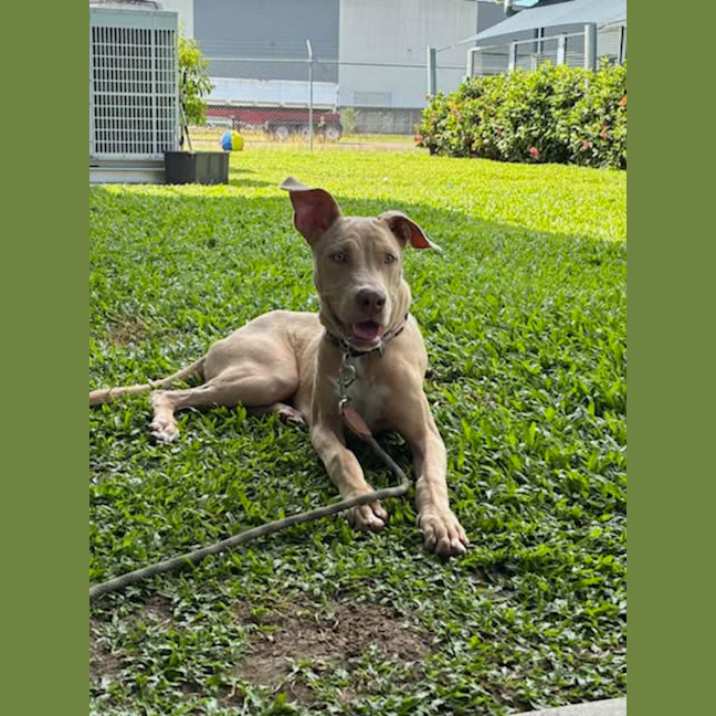 Photo of Bama