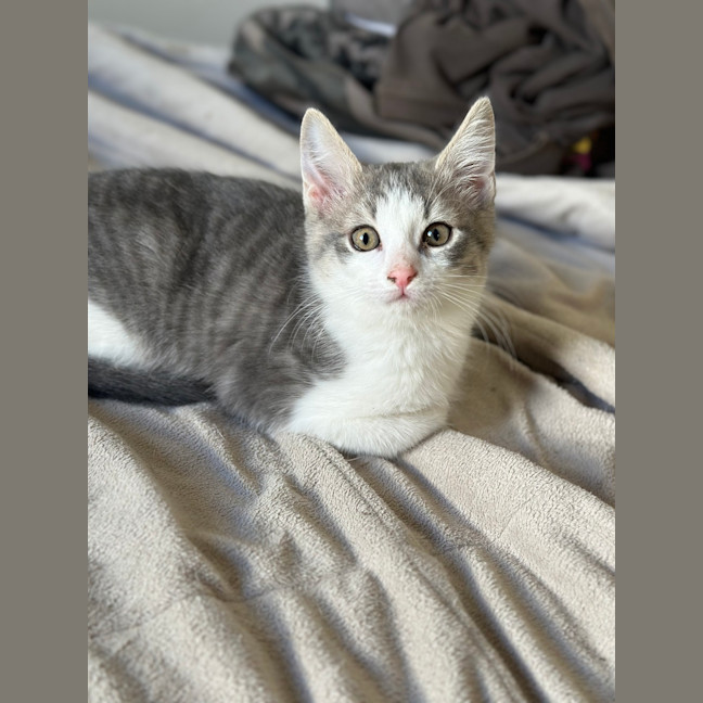 Photo of Stormy