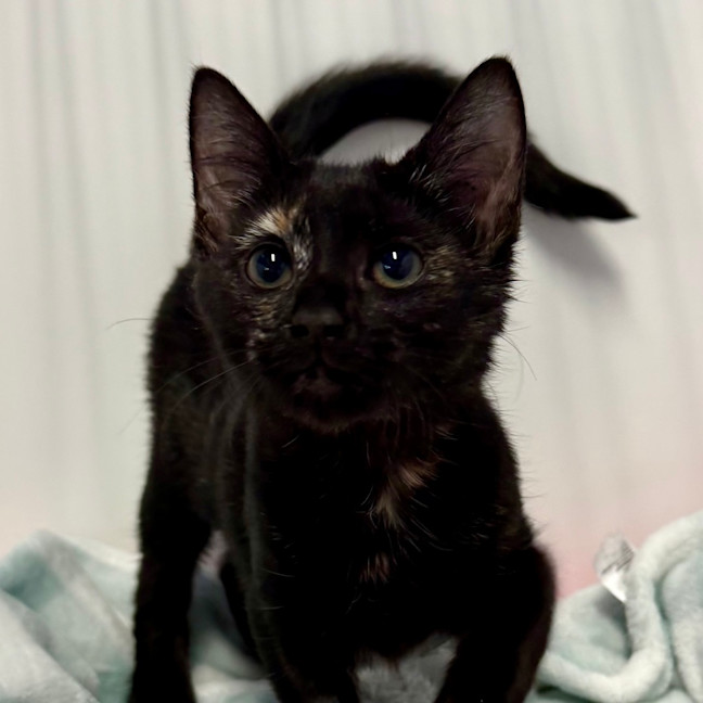 Photo of Holly