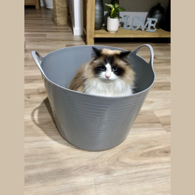 Photo of Sissi
