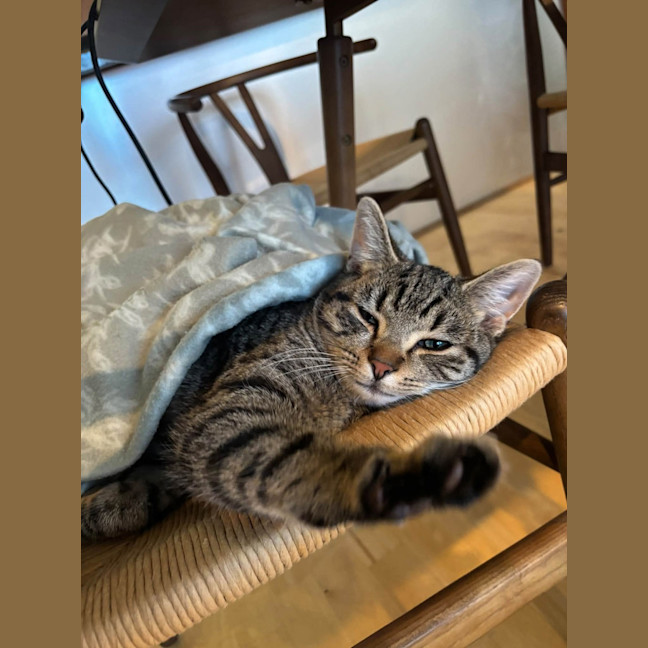 Photo of Boris