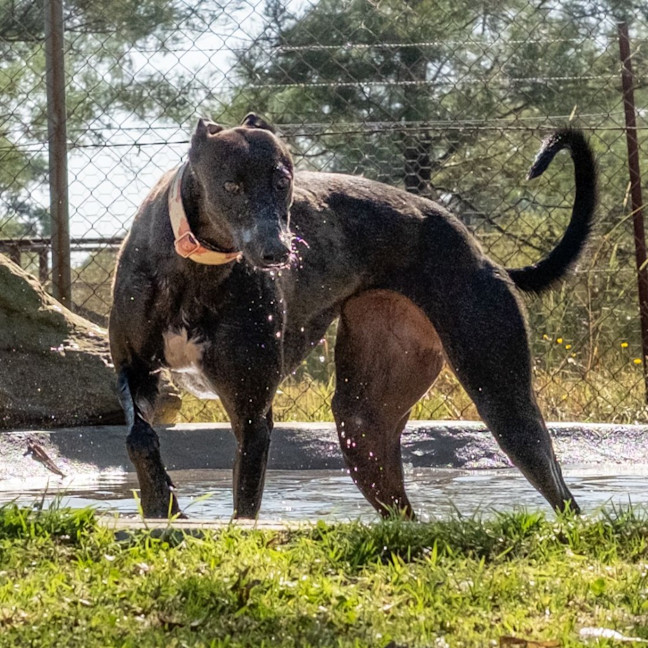 Photo of Giddy Up