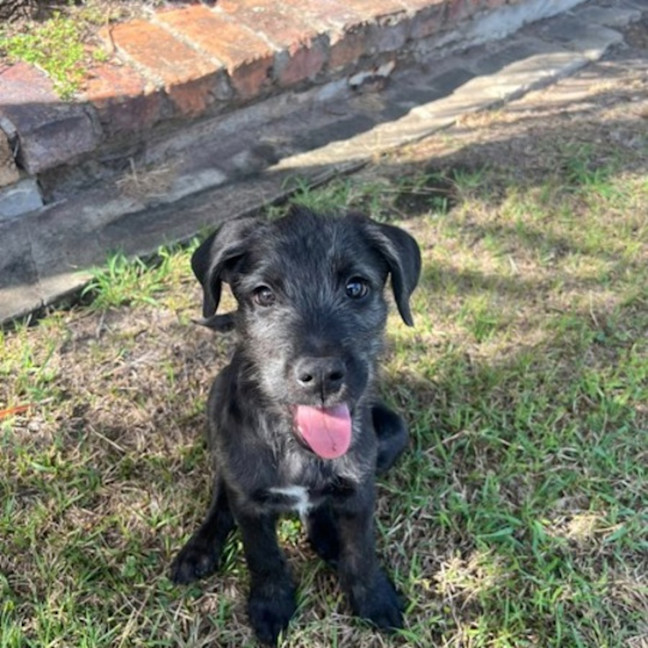 Photo of Stanley