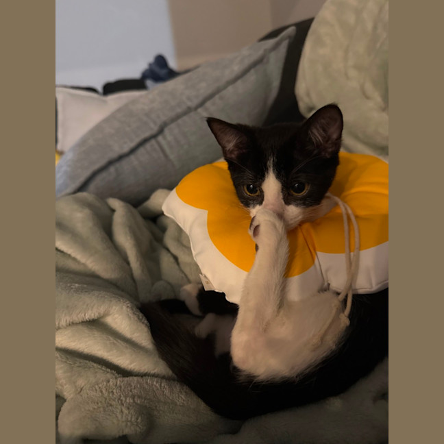 Photo of Rikku