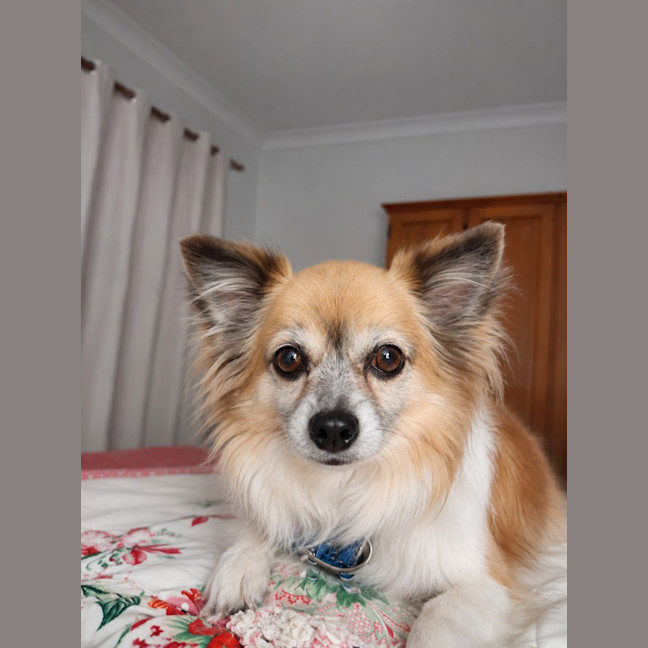 Photo of Duggie
