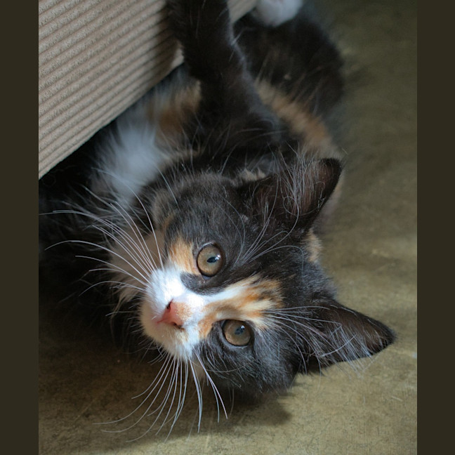 Photo of Ella & Nina 🌷🌷