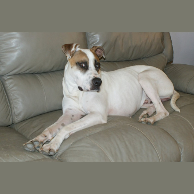 Photo of Tigger