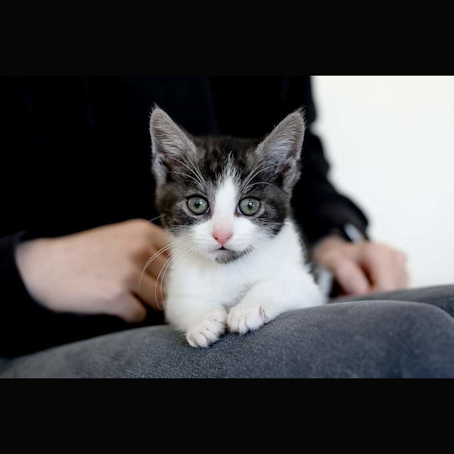 Photo of Olly