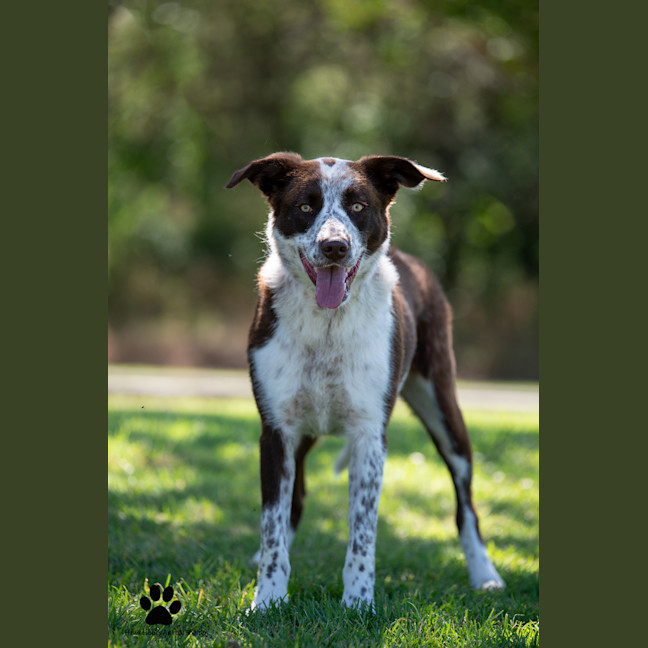 Photo of Mack