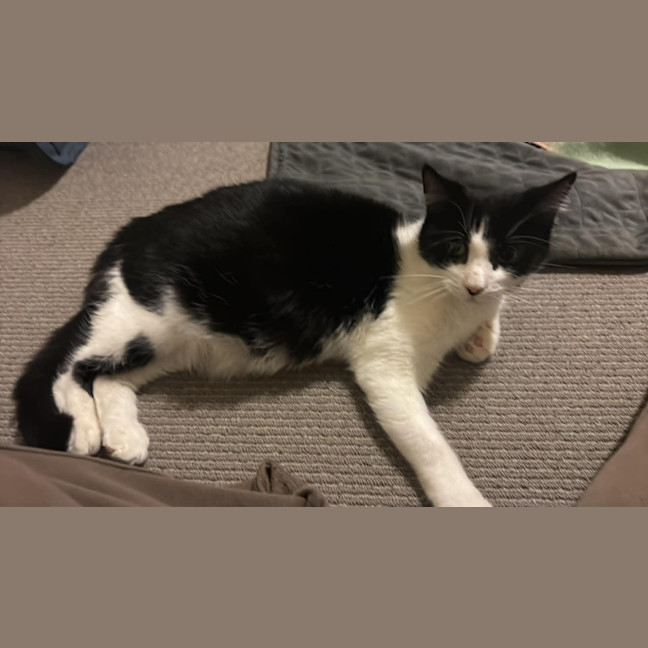 Photo of Mavis