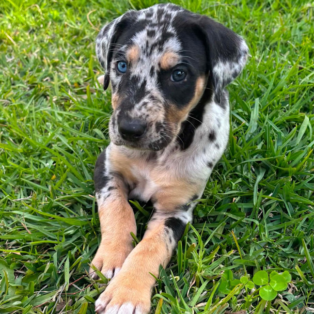 Photo of Kira