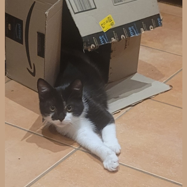 Photo of 💕 Atlas 💕