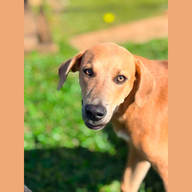 Photo of Archer