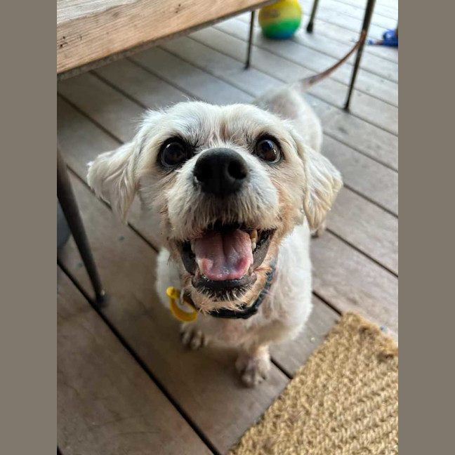 Photo of Eddie
