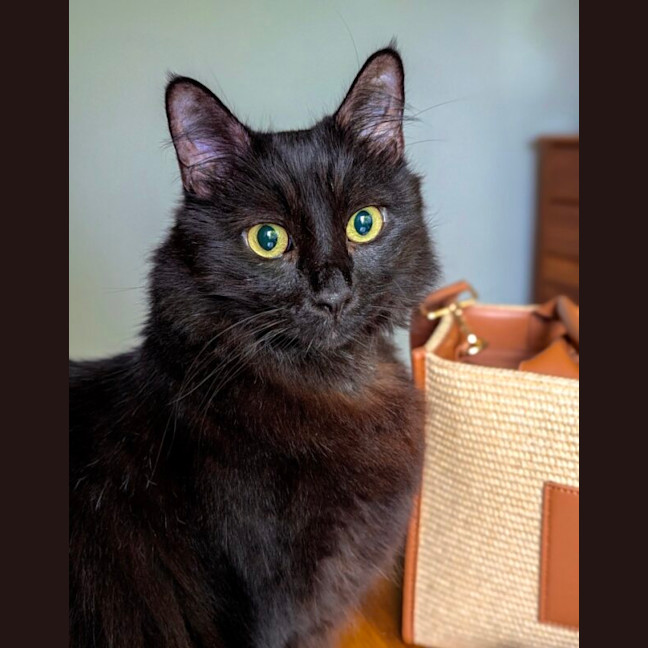 Photo of Fisher