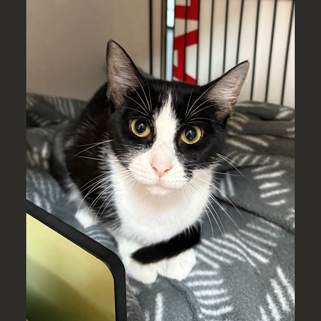 Photo of Sprout