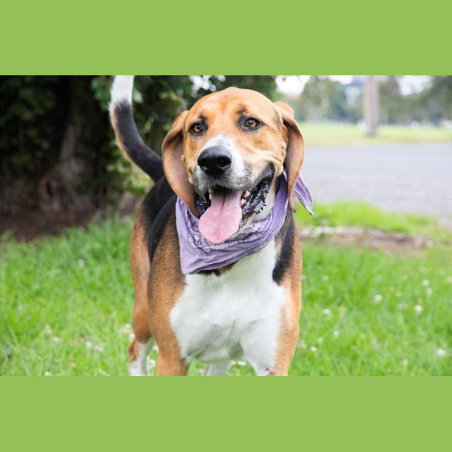 Photo of Lola Wilberforce