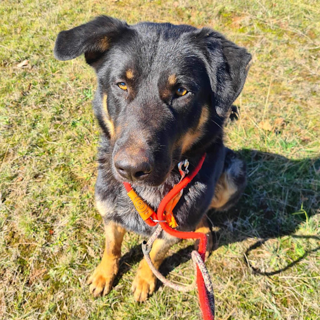 Photo of Max