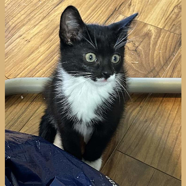 Photo of Bond