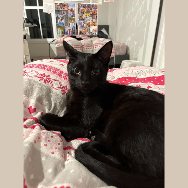 Photo of Andy