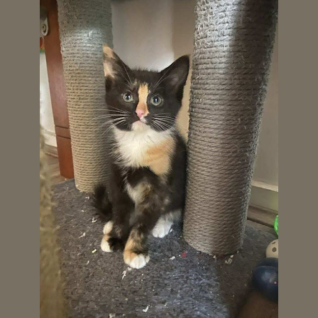 Photo of Chloe